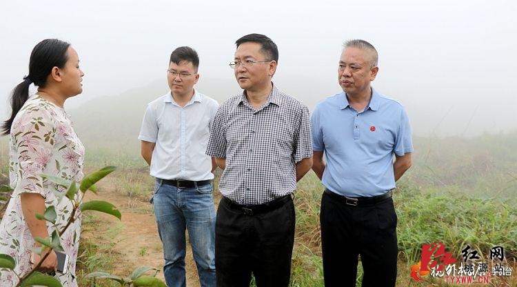 桃源县委书记周代惠到理公港镇开展脱贫攻坚“三走访、三签字”活动_本地要闻_桃源新闻网