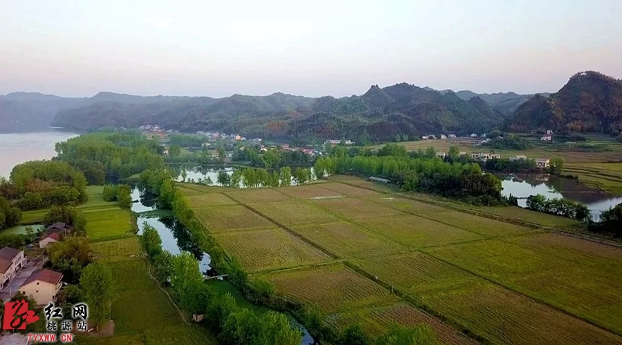 640.webp (4)_副本.jpg