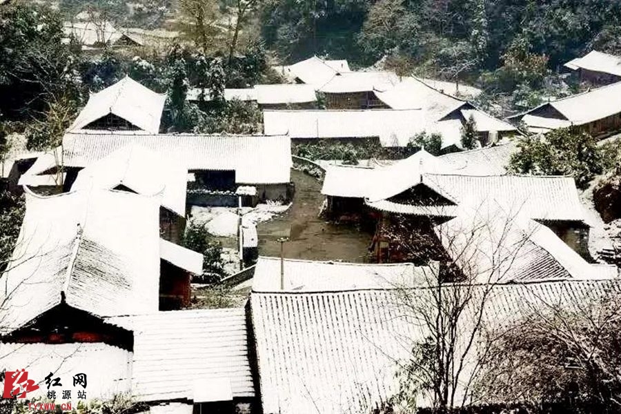微信图片_20181209183516_副本.jpg