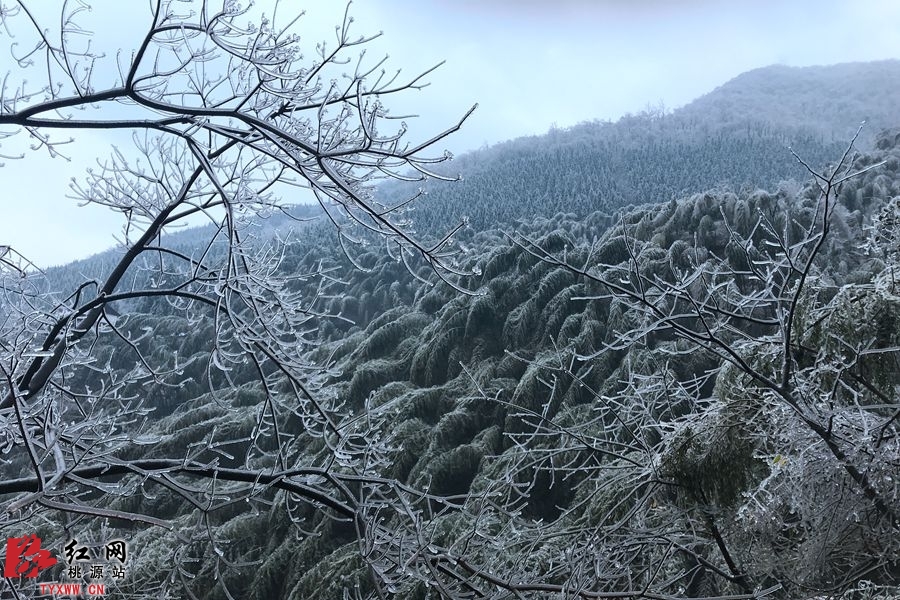 微信图片_20181209183127_副本.jpg